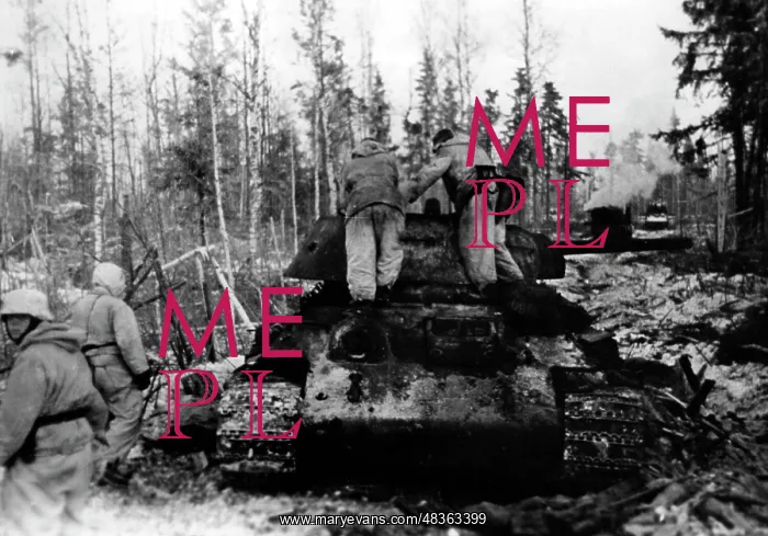 : Destroyed T-34 at Lake Ilmen, 1943 : Destroyed T-34 at Lake Ilmen, 1943