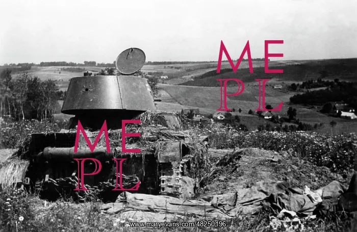 : Destroyed tank of the Red Army on the Eastern Front, 1941 : Destroyed tank of the Red Army on the Eastern Front, 1941