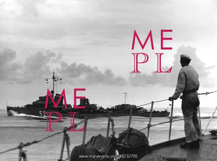 : Destroyer of the Kriegsmarine, 1939 : Destroyer of the Kriegsmarine, 1939
