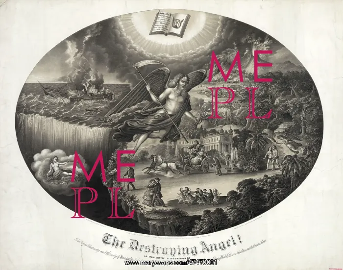 : The Destroying angel! : The Destroying angel!