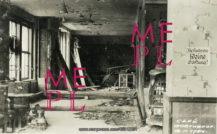 : Destruction in the Cafe Goethehof : Destruction in the Cafe Goethehof