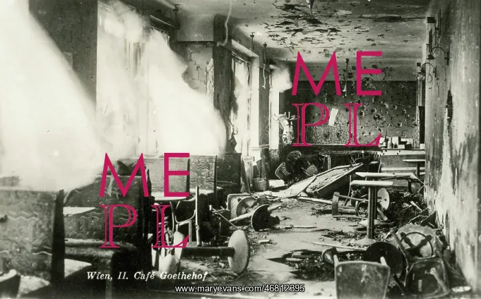 : Destruction in the Cafe Goethehof : Destruction in the Cafe Goethehof