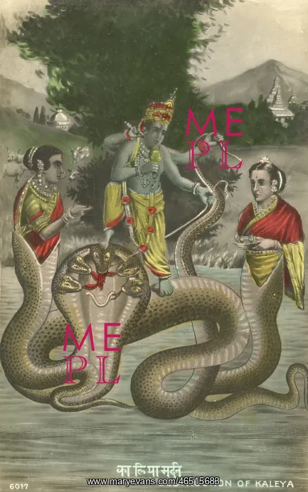 : Destruction of Kaleya : Destruction of Kaleya