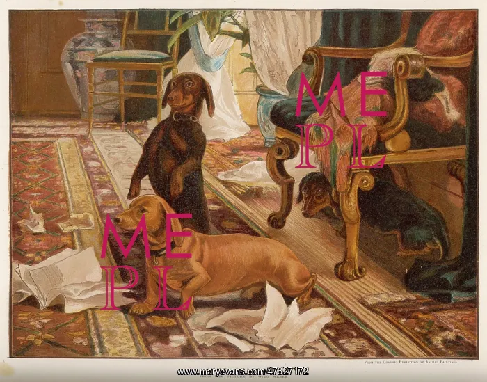 : DESTRUCTIVE DACHSIES : DESTRUCTIVE DACHSIES