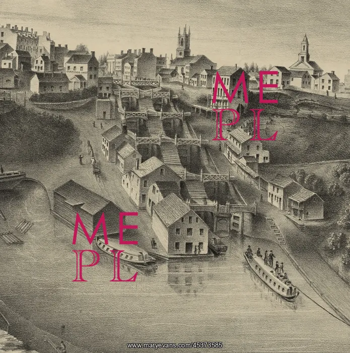 : Detailed view of the largest lock complex : Detailed view of the largest lock complex