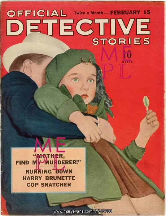 : DETECTIVE BOOK COVER : DETECTIVE BOOK COVER