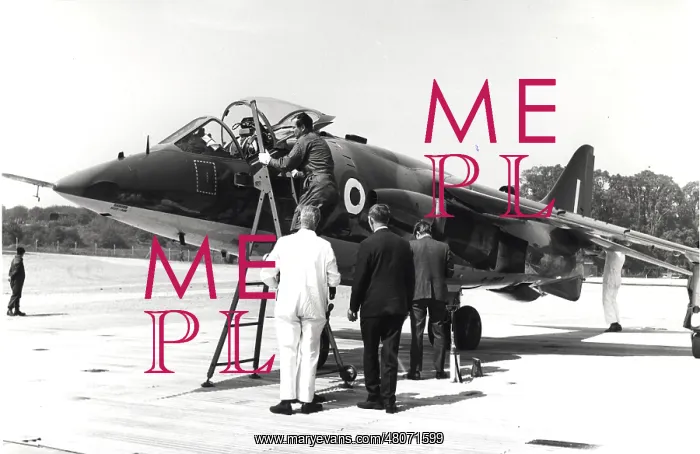 : Development batch, Hawker Siddeley Harrier DB : Development batch, Hawker Siddeley Harrier DB