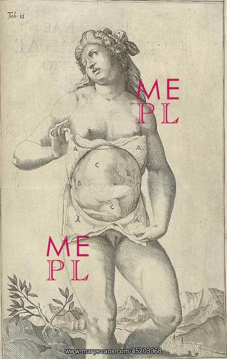 : Development of the fetus. Female figure ? : Development of the fetus. Female figure ?