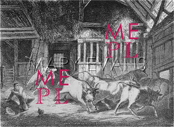 : Devil and cattle : Devil and cattle