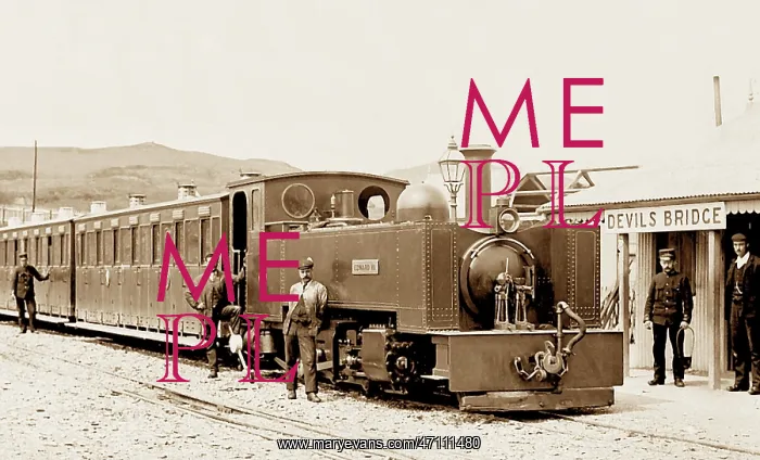  : Devils Bridge Railway Station, Vale of Rheidol, Wales