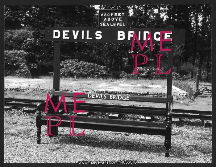 : DEVIL'S BRIDGE STATION : DEVIL'S BRIDGE STATION