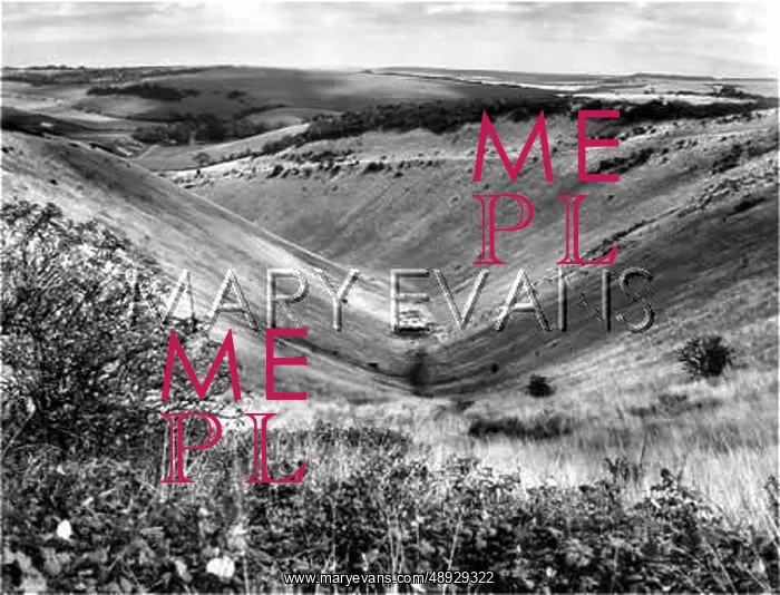 : DEVIL'S DYKE, SUSSEX : DEVIL'S DYKE, SUSSEX
