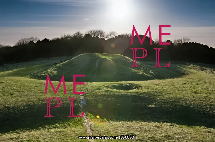 : Devils Humps DP : Devils Humps DP