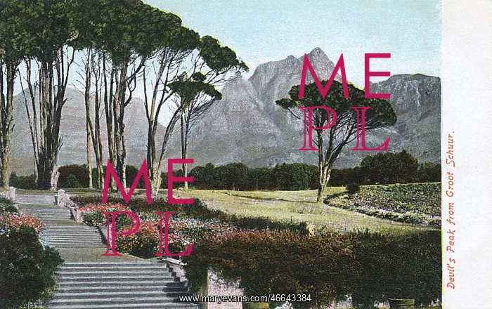 : Devil's Peak from the Gardens of Groot Schuur, Cape Town : Devil's Peak from the Gardens of Groot Schuur, Cape Town