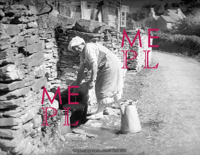 : DEVON WELL 1930S : DEVON WELL 1930S