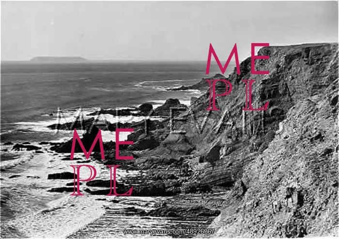 : DEVON COASTAL SCENE : DEVON COASTAL SCENE