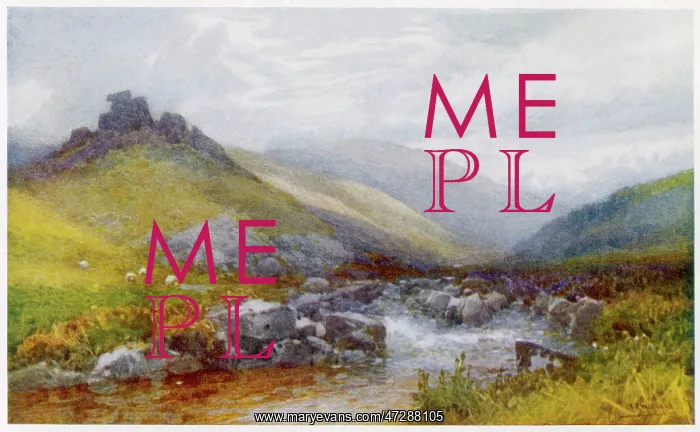  : DEVON / DOONE VALLEY 1919