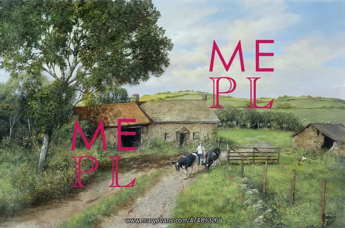  : Devon Farm, near Buckfastleigh