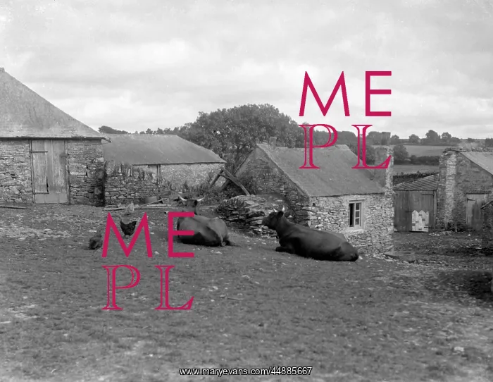 : DEVON FARMYARD : DEVON FARMYARD