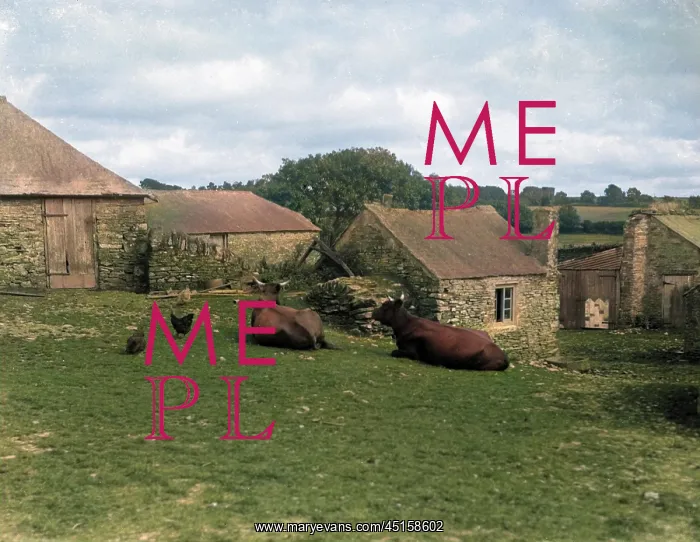 : DEVON FARMYARD : DEVON FARMYARD