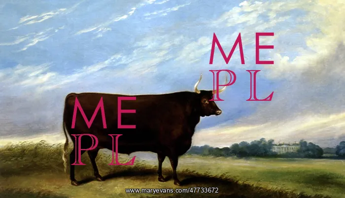  : The Devon OX