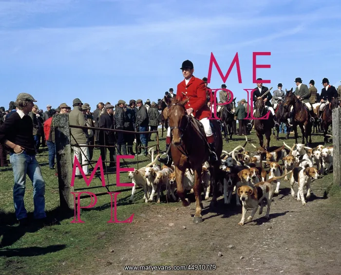  : Devon and Somerset huntsmen and staghounds