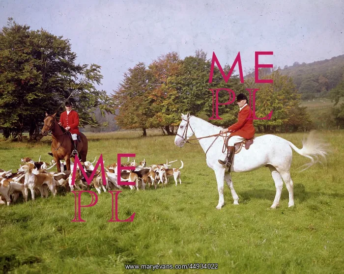 : Devon and Somerset huntsmen and staghounds : Devon and Somerset huntsmen and staghounds