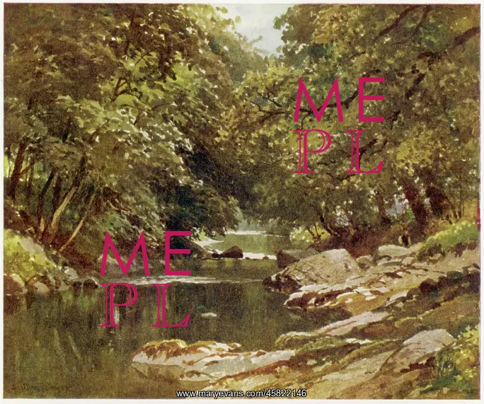  : DEVON / TAVY RIVER 1909