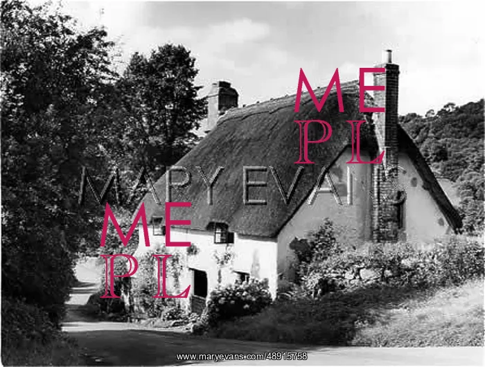 : DEVON THATCHED COTTAGE : DEVON THATCHED COTTAGE