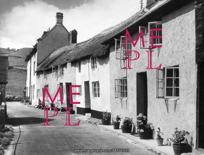 : DEVONSHIRE COTTAGES : DEVONSHIRE COTTAGES