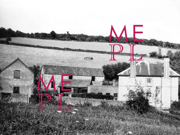 : DEVONSHIRE FARMHOUSE : DEVONSHIRE FARMHOUSE