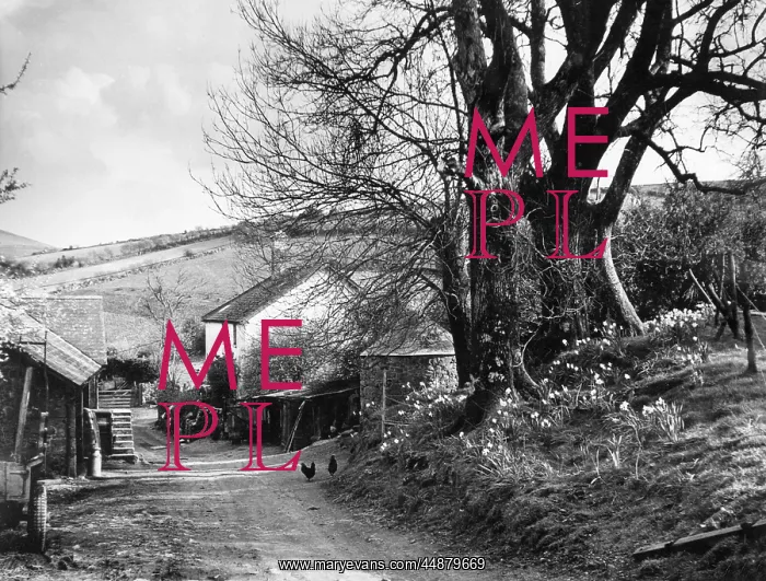 : DEVONSHIRE FARMSTEAD : DEVONSHIRE FARMSTEAD