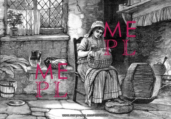  : A Devonshire lace-maker 1878