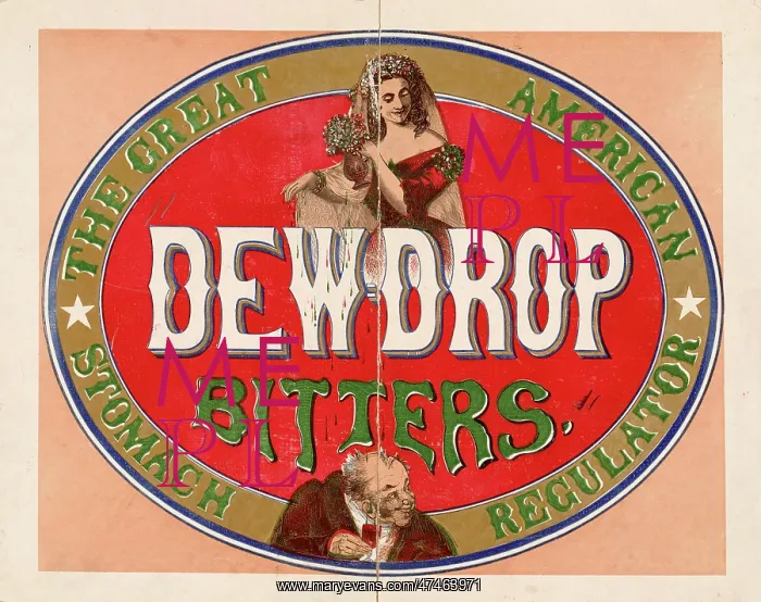 : Dewdrop bitters - the great American stomach regulator : Dewdrop bitters - the great American stomach regulator