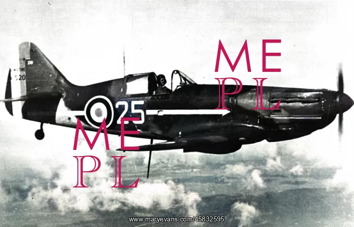 : Dewoitine D520 the mainstay of French fighter forces fa? : Dewoitine D520 the mainstay of French fighter forces fa?