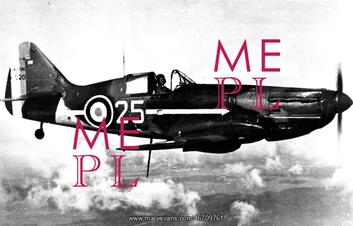 : Dewoitine D520 the mainstay of French fighter forces fa : Dewoitine D520 the mainstay of French fighter forces fa