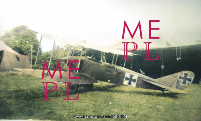 : DFW C V German two-seater biplane : DFW C V German two-seater biplane