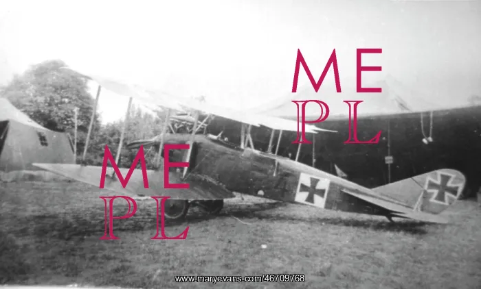 : DFW C V German two-seater biplane : DFW C V German two-seater biplane