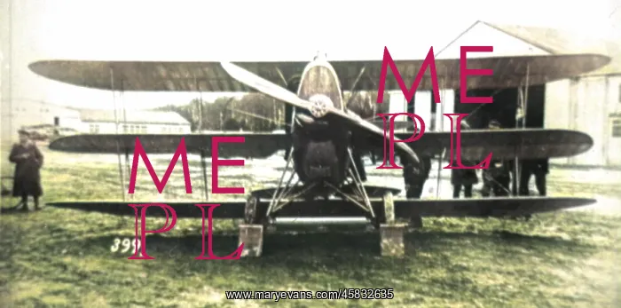 : DFW Dr I German fighter triplane : DFW Dr I German fighter triplane