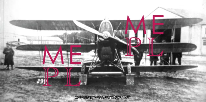 : DFW Dr I German fighter triplane : DFW Dr I German fighter triplane