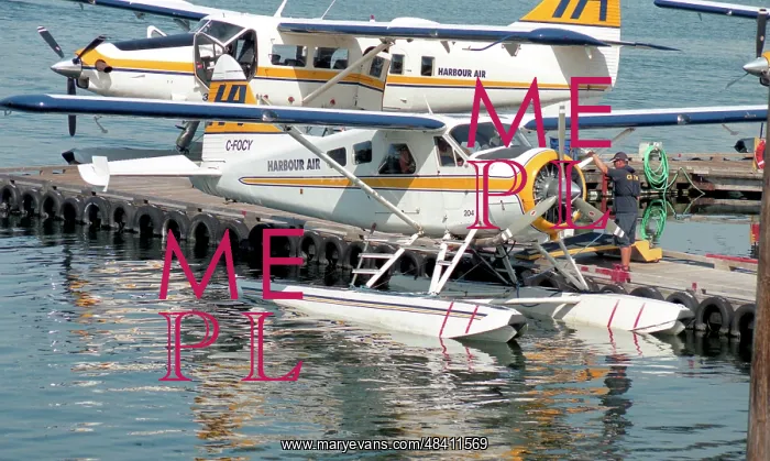 : DHC-2 Beaver C-FOCY - 204 : DHC-2 Beaver C-FOCY - 204
