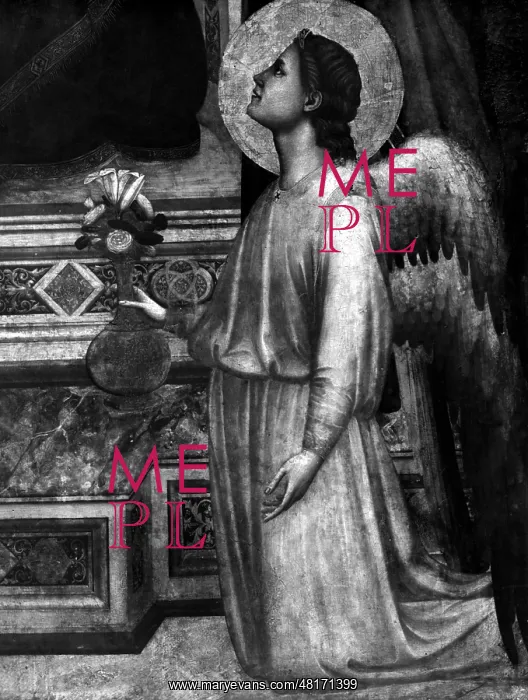 : Di Bondone Giotto : Di Bondone Giotto