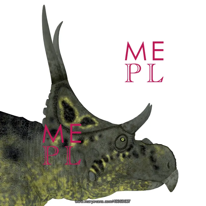 : Diabloceratops dinosaur head : Diabloceratops dinosaur head