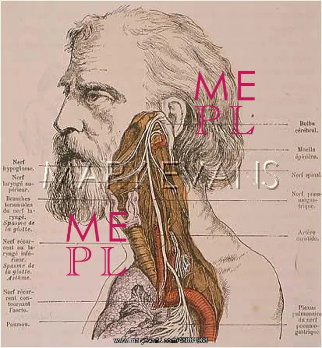: DIAGRAM / ASTHMA / 1883 : DIAGRAM / ASTHMA / 1883