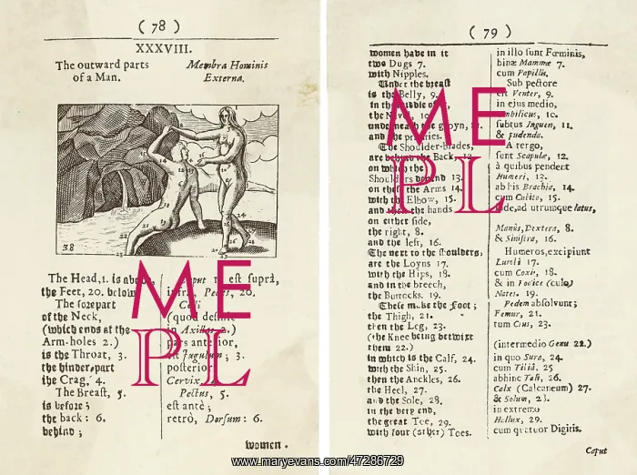  : DIAGRAM OF BODY / 1658