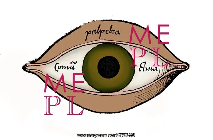 : Diagram of the Eye, Gregor Reisch : Diagram of the Eye, Gregor Reisch