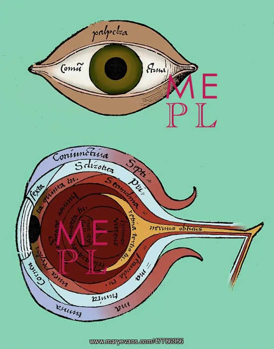 : Diagram of the Eye, Gregor Reisch : Diagram of the Eye, Gregor Reisch
