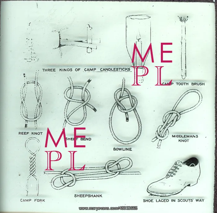 : Diagram of scouting knots : Diagram of scouting knots
