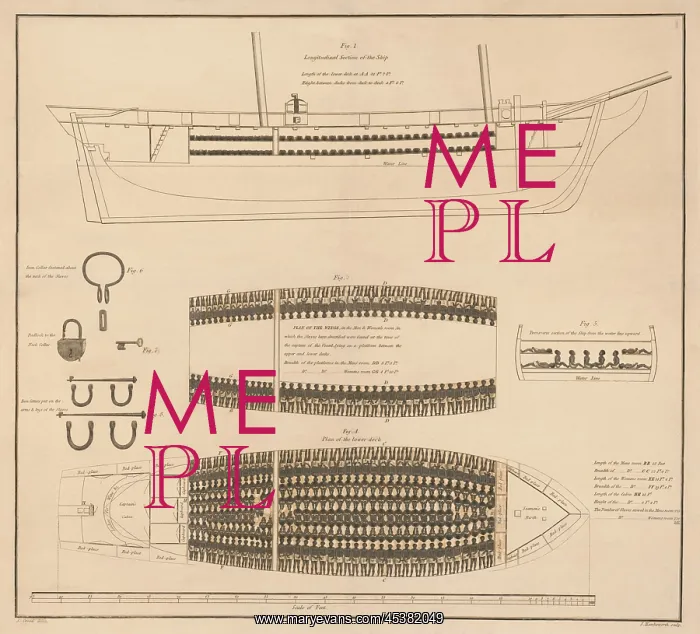 : Diagram of a slave ship with its cargo of : Diagram of a slave ship with its cargo of
