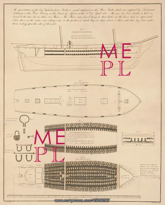 : Diagram of a slave ship with its cargo of : Diagram of a slave ship with its cargo of